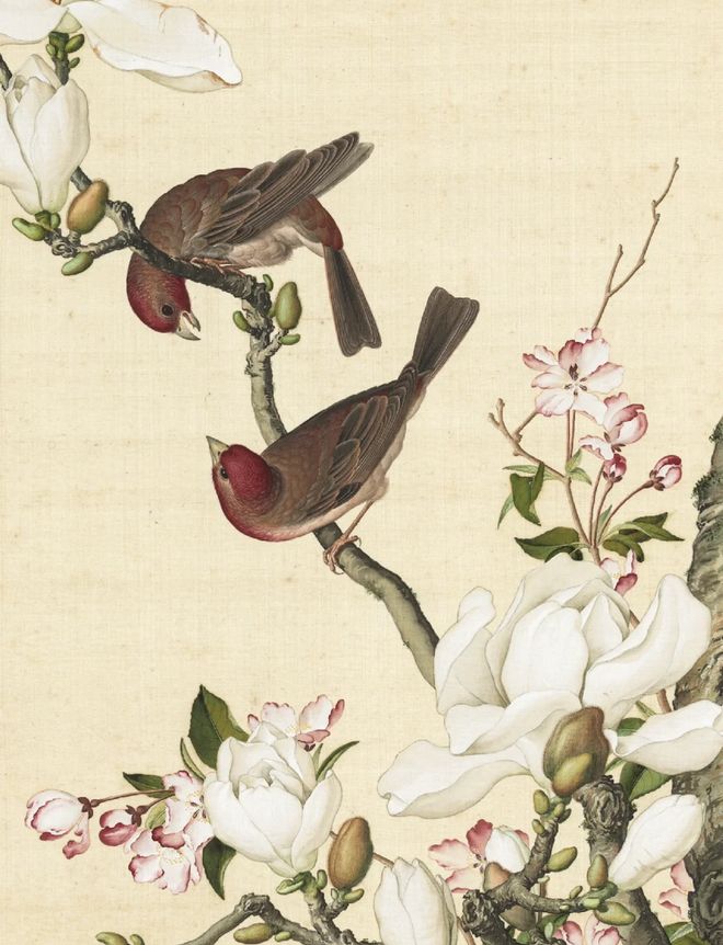 老虎機：总算看清了她的真面目：这身价，她值得